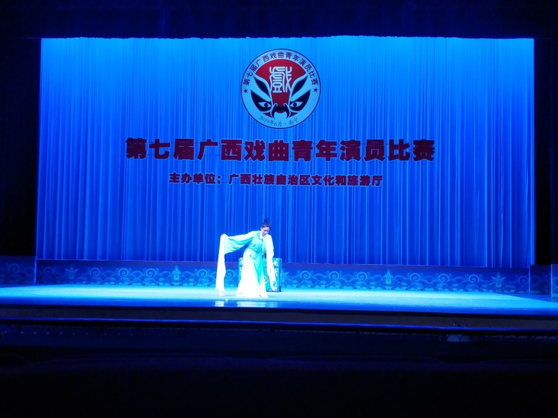 图为林静同志表演现场  自治区文化和旅游厅提供.jpg